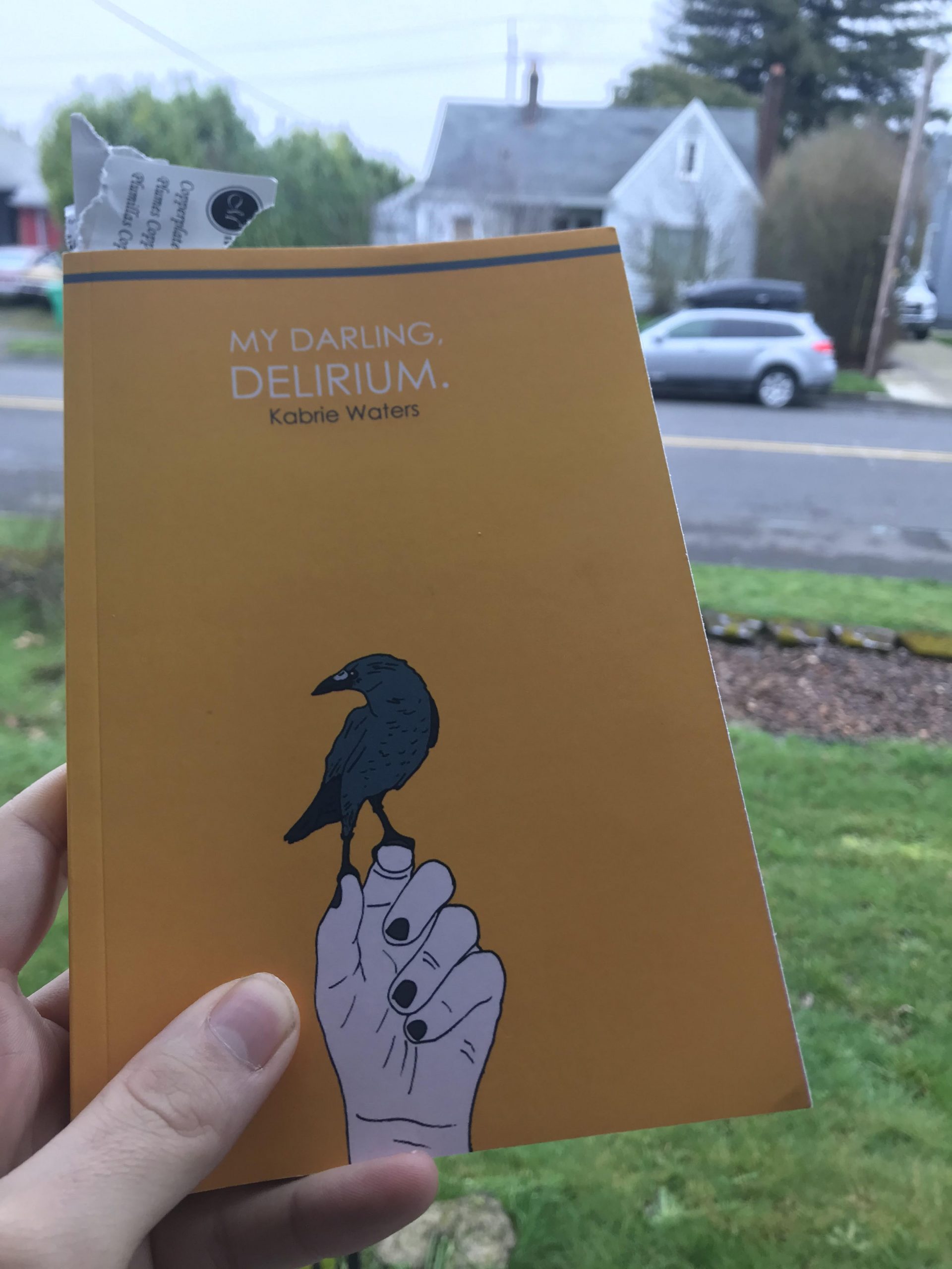 Poetry Review: My Darling, Delirium by Kabrie Waters